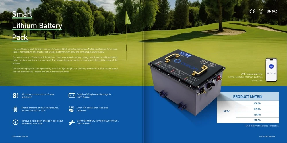 51 2v 48v 125ah Lifepo4 Golf Cart Lithium Battery